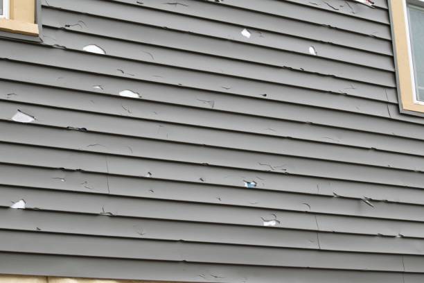 Best Storm Damage Siding Repair  in Wolcott, IN